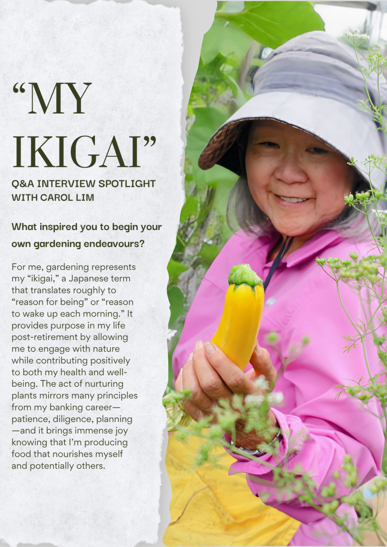 A Conversation with Carol Lim: Cultivating Community Care Through Growing Food in the&nbsp;City